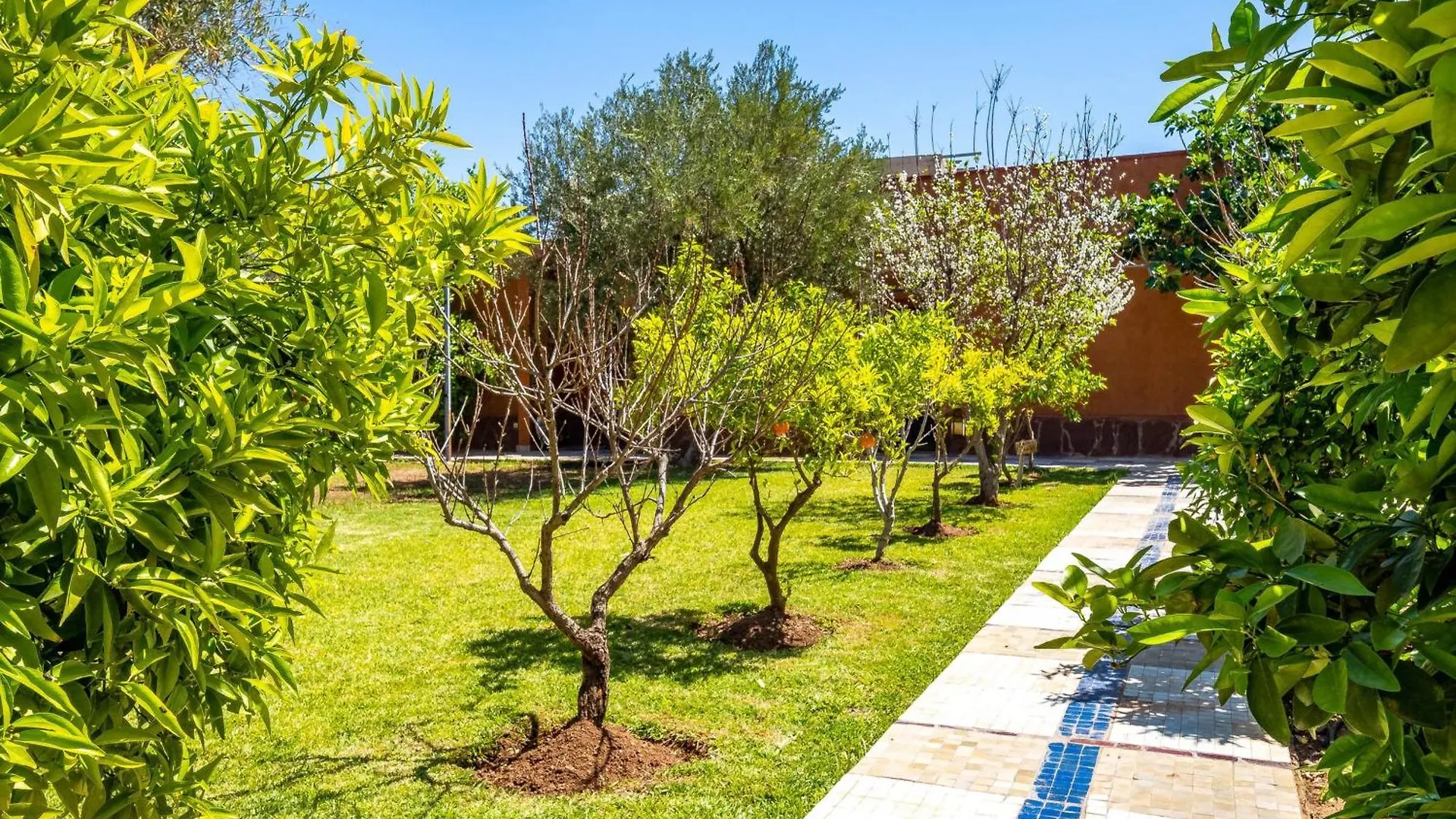 Affittacamere Hotel Kasbah Alili El Caïd Omar